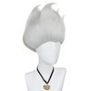 Pure Silver Wig for Men Silver Straight Cosplay Wigs for