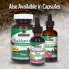 Nature's Answer Nature's Answer Bladderwrack, Extract 1 Fl Oz