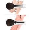 Picasso Collegioni Makeup Brush 8-Piece Set