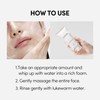 LAGOM Cellup Micro Foam Cleanser, Hydrating Deep Cleansing Face Wash,