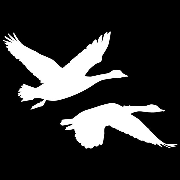 Express Yourself Products 2 Geese Flying Wall Decal (White - Reverse Facing - 6XL) - Waterfowl Collection
