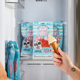 SPOT Pup Ice- Ready to Freeze at Home Dog Treats-Edible Chews for Medium Breed Dogs & Puppies with Real Chicken to Keep Your Pup Cool Year Round, Waffle Cone Vanilla and Peanut Flavor, 2pcs