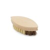 Fox Run 74907 Natural Vegetable Brush, Tampico Fiber Bristles, Not
