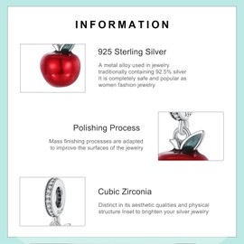Erizteya 925 Sterling Silver Charms for Bracelets Necklaces, Graduation Bachelor Cap Dr.Owl's Hat Compass Pendant Beads, Nurse Hat Heartbeat Love Pendant Jewellery Gift for Women, Cubic Zirconia