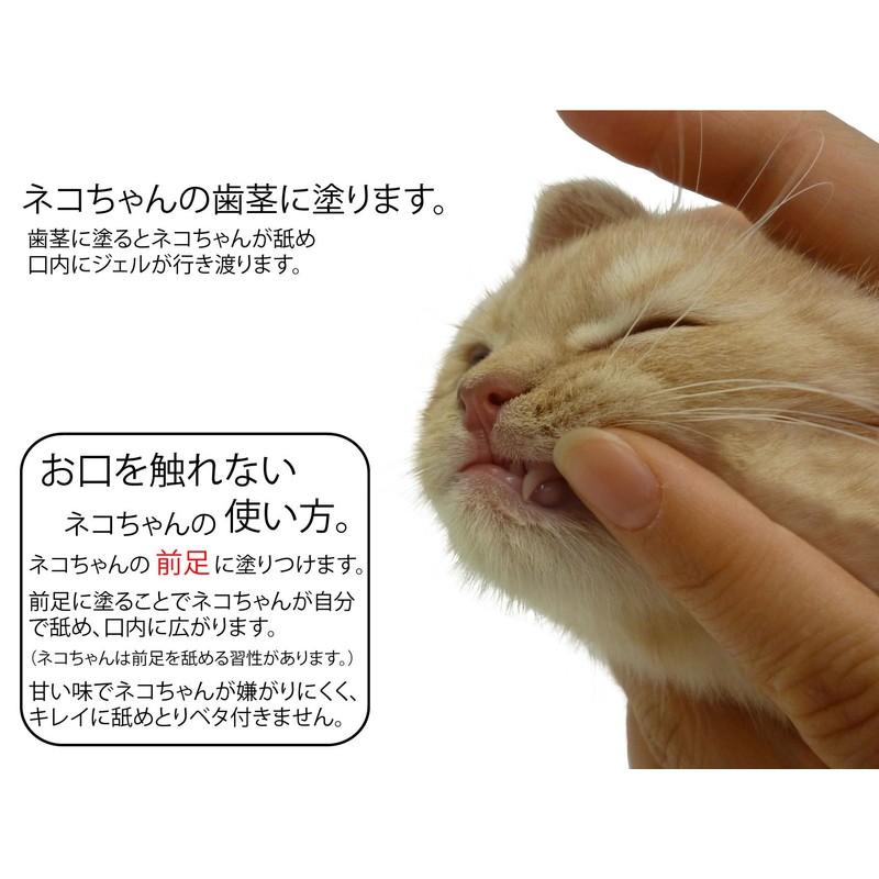 プラッツ (PLATZ) PLATZ PET SUPPLISES&FUN(プラッツ) ペット用デンタルケアー デンタルローション ジェルタイプ ペット用