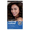 Clairol Lasting Colour Permanent Hair Dye | Perfect Grey Coverage