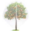 Vincreem 12 x 12 FT Large Fruit Tree Netting Bags