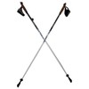 LEKI Nordic Walking Amero Carbon Series Walking Poles White/Black 115cm