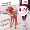 HALTI No Pull Harness - To Stop Your Dog Pulling