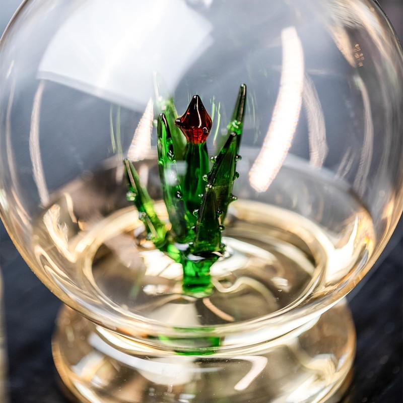 Tequila Aloe Decanter Set with Agave Plant - 750mL Bottle,