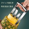 Stainless Steel Pineapple Peeler & Cutter Household Fruit Tool for