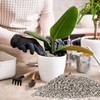 Sukh Horticultural Pumice Stone - Pumice Stone for Plants Succulent
