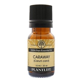 Plantlife Caraway Aromatherapy Essential Oil - Straight from The Plant 100% Pure Therapeutic Grade - No Additives or Fillers - 10 ml