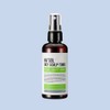 Hesol Haesol Oily Scalp Tonic 100ml / 헤솔 오일리 스캘프