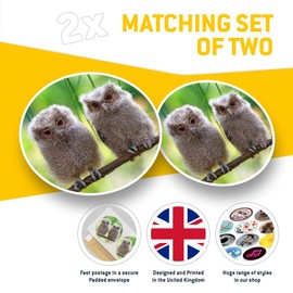 Vinyl Stickers (Set of 2) 20cm - Cute Baby Owls Wild Nature #2322