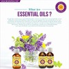 dve herbes Deve Herbes Pure Chilli Seed Essential Oil (Capsicum