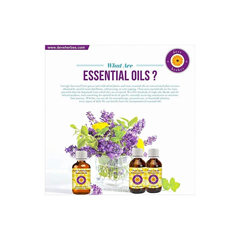 dve herbes Deve Herbes Pure Chilli Seed Essential Oil (Capsicum