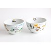 Simizu Pottery German Mexican Snoopy Bowl, Set of 2