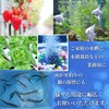 FUKUMIDO Air Stone Round Shape Aquarium, Fish, Aquatic Plants, Medaka,