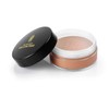 Black Radiance True Complexion Loose Setting Powder, Honeymoon, 0.64 Ounce