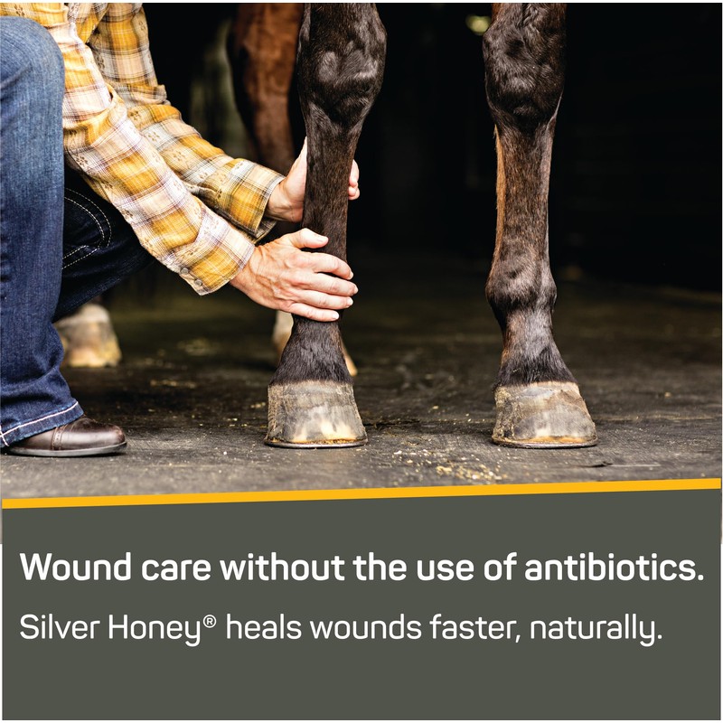 Absorbine Silver Honey Rapid Wound Repair Ointment Twin Pack 2oz
