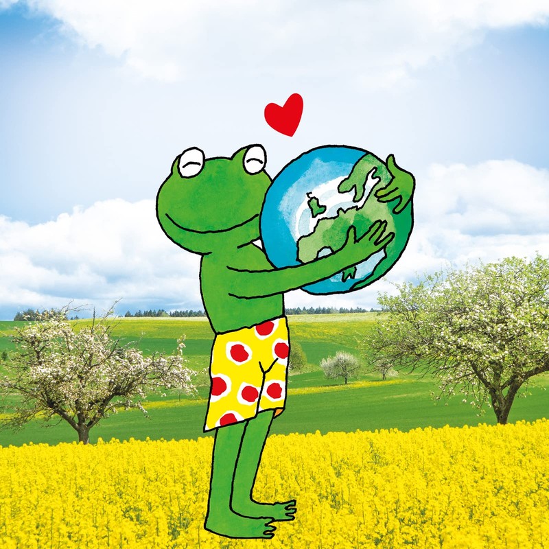 Frosch Anti-limescale cleaner raspberry vinegar, 0.5 l