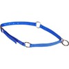 Mustang Neck Collar Blue