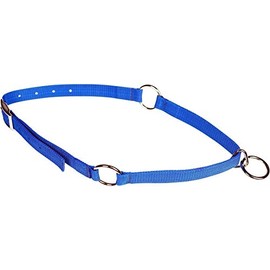 Mustang Neck Collar Blue