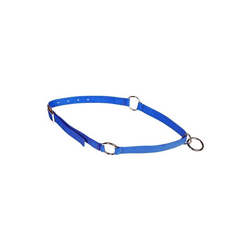 Mustang Neck Collar Blue