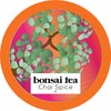 Bonsai Tea Co. Chai Spice, Compatible with K Cup Brewers