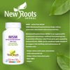 NEW ROOTS HERBAL New Roots Herbal - MSM Pure Powder,