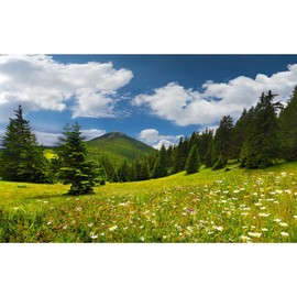 Mountain Valley Aquarium Background Cloudy Blue Sky Fish Tank Background Lush Green Pine Trees Natural Landscape Reptile Tank Backgrounds Spring Flowers Meadow Reptile Enclosure Backgrounds 72x18in