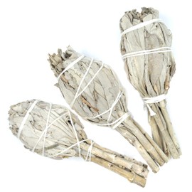 Farbenwald - White Sage, 3 Torches for Smoking, Approx. 11 cm Long, from California, Smudge Sticks, Salvia Apiana
