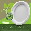 100% Compostable Paper Plates 100 Pack, 6 Inch Heavy Duty