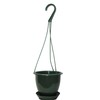 Dogwood Farm Market 4.5'' Mini Dark Green Plastic Hanging Basket