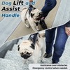 Wuffley Escape Proof Dog Harness and Leash Set, Lightweight Dog