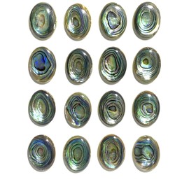 [ABCgems] Gem-Quality New Zealand Abalone Shell (Gorgeous Thick Nacre- Exquisite Luster- Beautiful Iridescent Matrix) 15X20mm Oval Flat-Back Cabochons (Wholesale Lot- 16 Pieces)