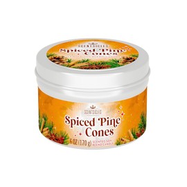 Scentsicles, Spiced Pine Cones, 6 Oz Soy Blend Candle, 25 Hour Burn Time