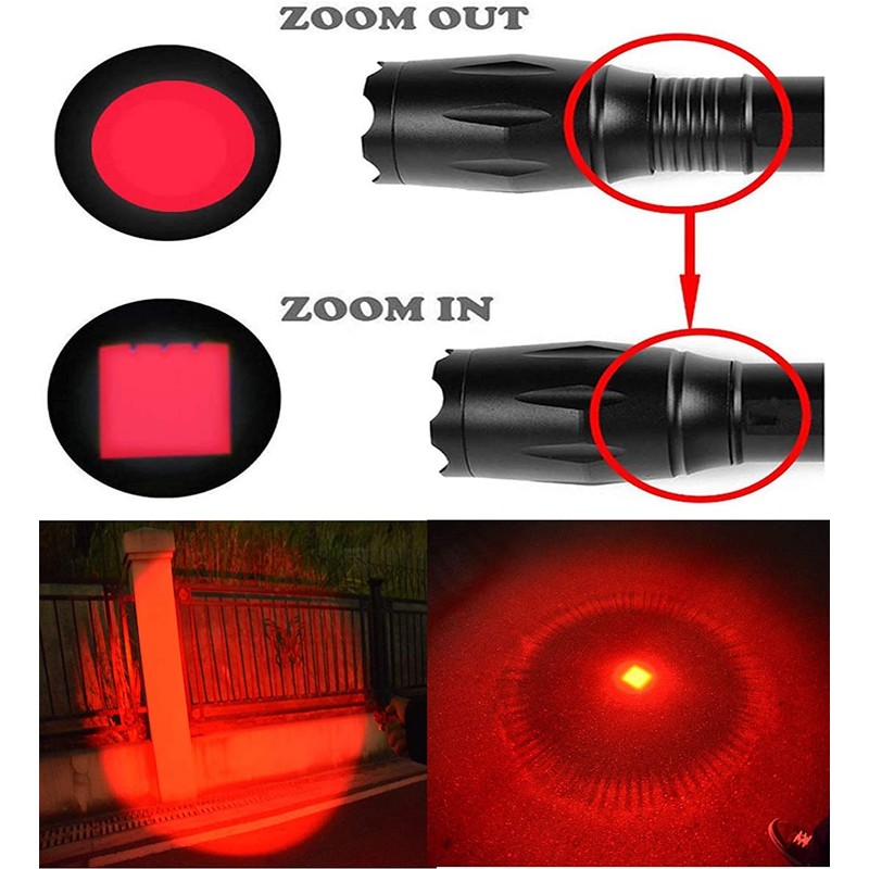 L'lysColors 4 in 1 LED Flashlight, White, Red, Green &