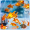 Acrylic Shrimp Feeder with Feeding Scoop and Cleaning Brush Transparent