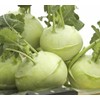 KIRA SEEDS - Seeds Biennial Kohlrabi - Giant Cabbage -
