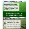 Yamamoto Homeien Fine Green Juice, 0.1 oz (2.5 g) x
