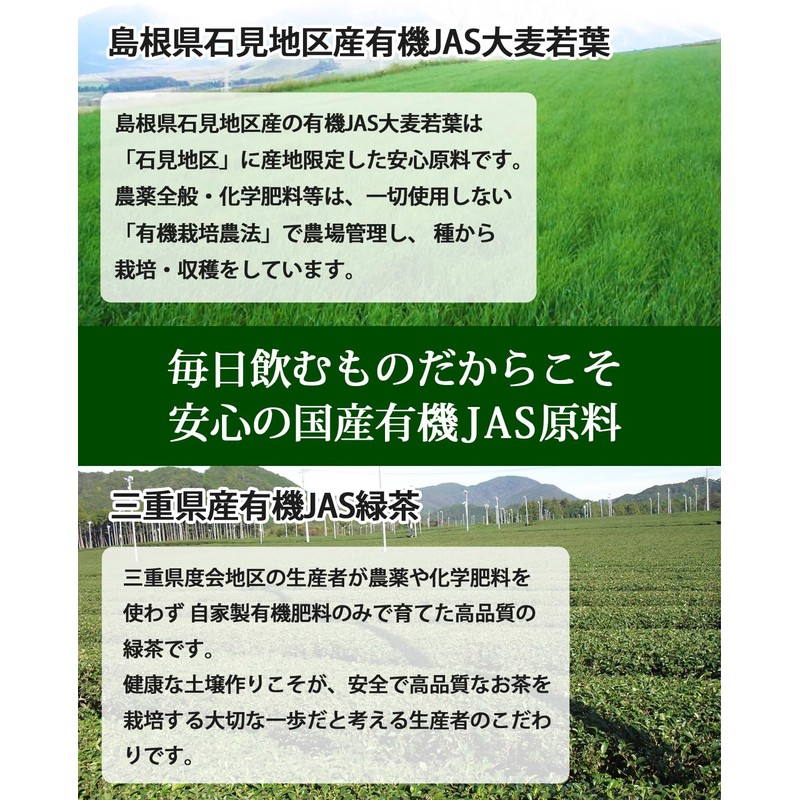 Yamamoto Homeien Fine Green Juice, 0.1 oz (2.5 g) x