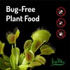 Jessi Mae Carnivorous Plant Food Drops - 30 ml -