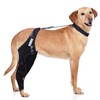 DGYAO Dog Knee Brace for ACL, Knee Cap Dislocation, Arthritis