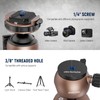 NEEWER Low Profile Ball Head, Quick Lock Camera Tripod Head