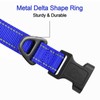 Joytale Reflective Dog Collar, Soft Neoprene Padded, Metal D-Ring, Nylon