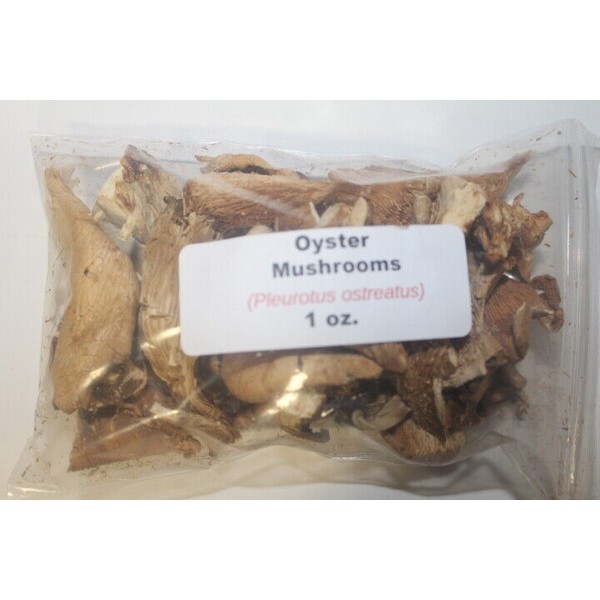 1 oz. Oyster  Mushroom Powder  (Pleurotus ostreatus)
