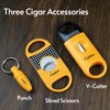Cgaplus V-Cut Cigar Cutter Double Blade Cigar Guillotine Pack of