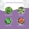 Earth Mama No More Milk Tea | Organic Herbal Tea